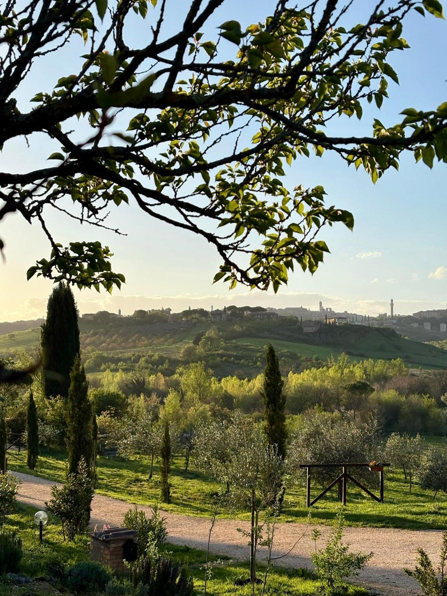 Agriturismo La Corte Del Sole Siena Exterior foto